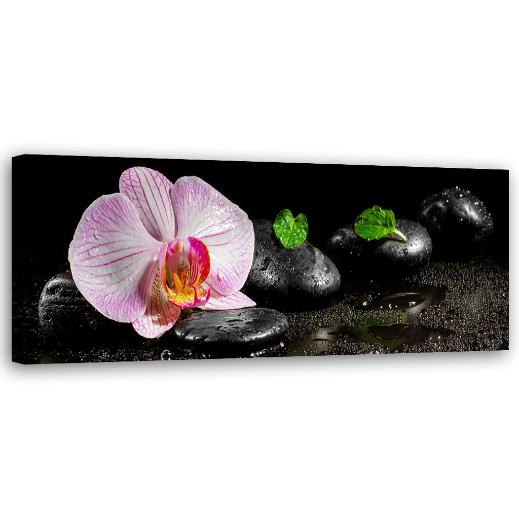 Leinwandbild Blühende Zen-Orchidee 150x50 Feeby Schwarz bild für die wand bereit zum aufhängen