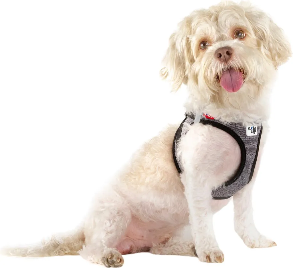 Harnais pour chiens ajustable CURLI Laine Noir L 8-13kg évite les tractions