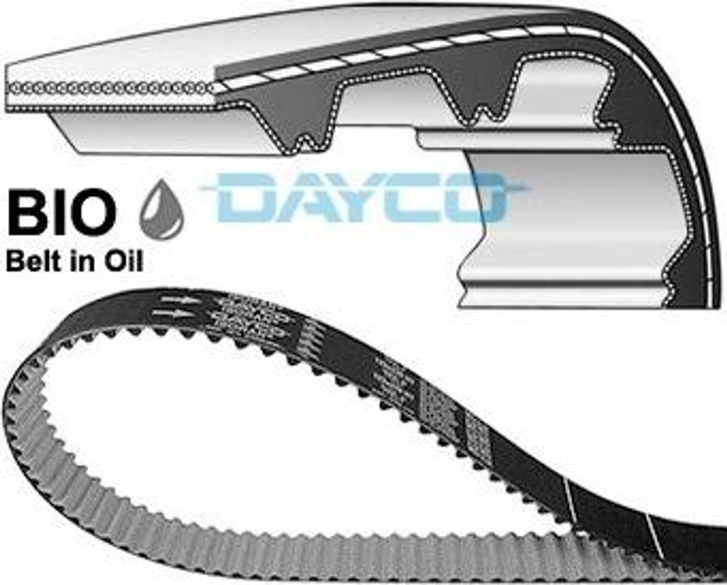 DAYCO 941136 Zahnriemen für FORD Fiesta Mk6 Schrägheck (JA8, JR8) 116-Zähne