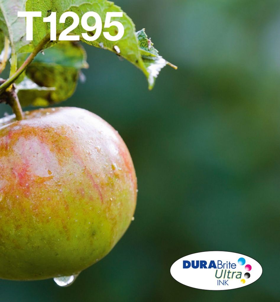 Epson Original Easy Mail Packing T129 Apfel Druckerpatronen Produktbild 