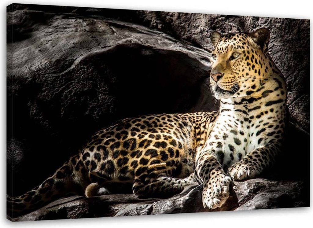 Leinwandbild leopard auf den felsen 90x60 cm Feeby gelb wandbild bereit zum aufhängen