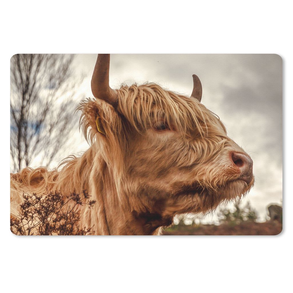 MuchoWow Schreibtischunterlage Scottish Highlander - Strauch - Heidekraut 60x40 cm - XXL Mauspad - Großes Mauspad