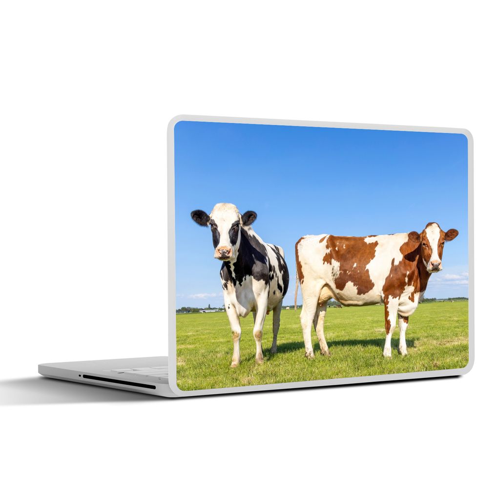MuchoWow Laptop Aufkleber Sticker Cover Kühe - Bauernhof - Gras - Natur - Tiere 25x18 cm - Laptop-Deko