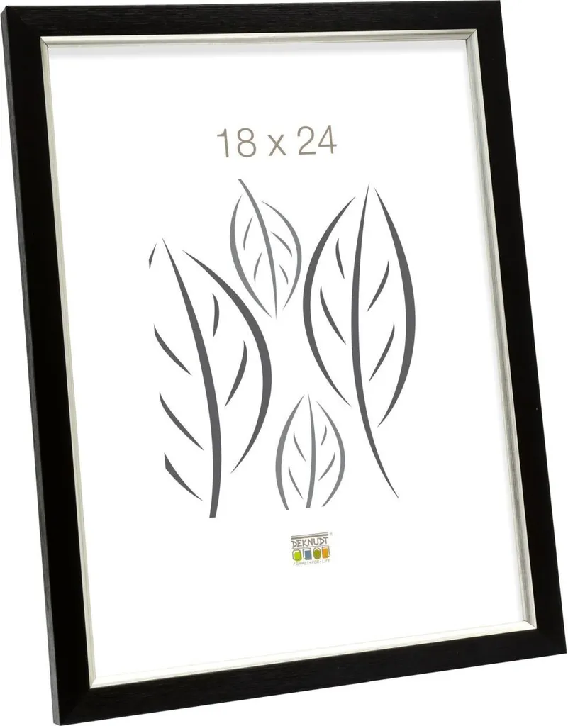 Cornice in plastica S46A nera con argento 30x40 cm