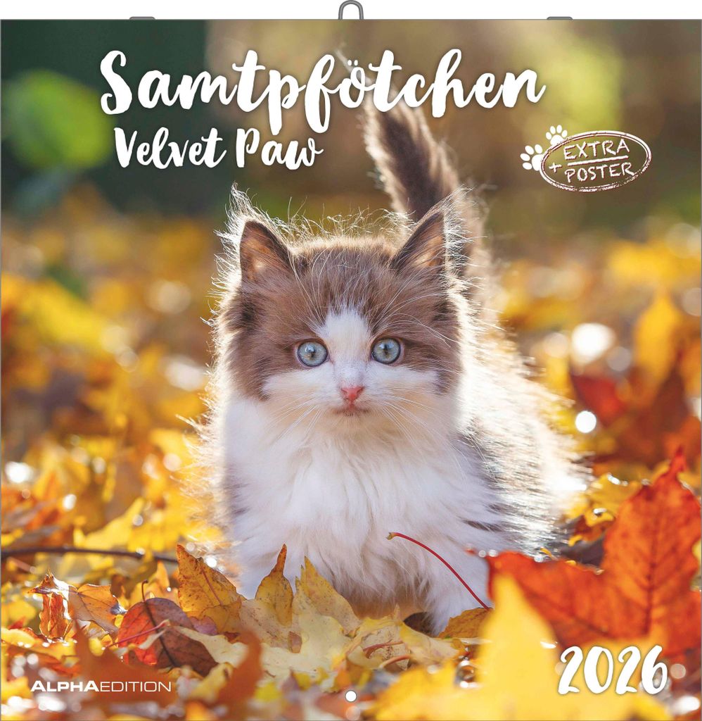 Alpha Edition - Samtpfötchen Kalender 2026 - Wandkalender & Produktbild 