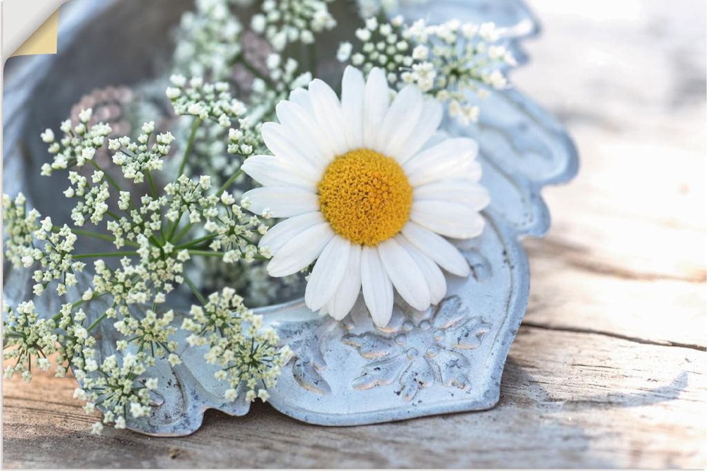 ARTland Wandbild, selbstklebend Zarte Margeriten Blüte Größe: 30x20 cm