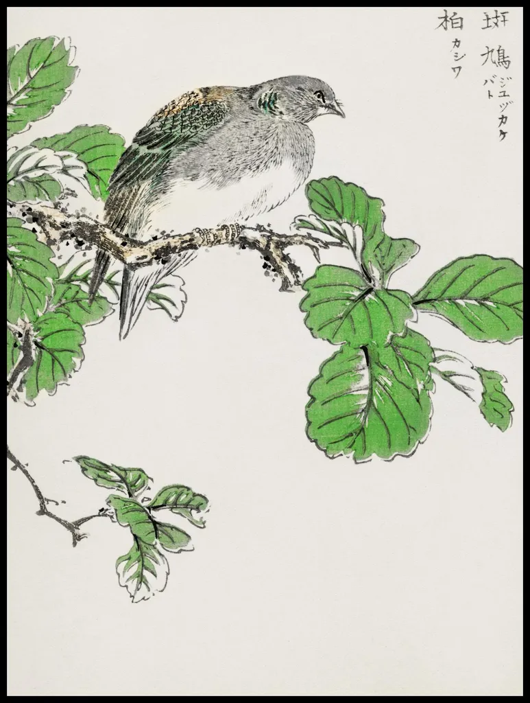 Affiche vintage Barbara Dove Kashu Japonais 75x100 papier premium mat