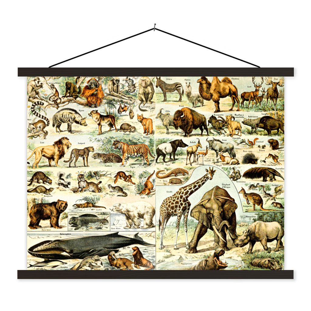 MuchoWow Textilposter Tiere - Giraffe - Bär 60x45 cm mit schwarzem Rahmen - Poster Schlafzimmer