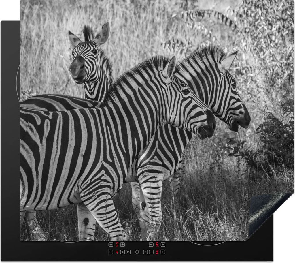 KitchenYeah Herdabdeckplatte Drei grasende Zebras , 59x51cm, Küche Deko, Glaskeramikfeld Herdabdeckung, Abdeckplatte fùr Kochfeld