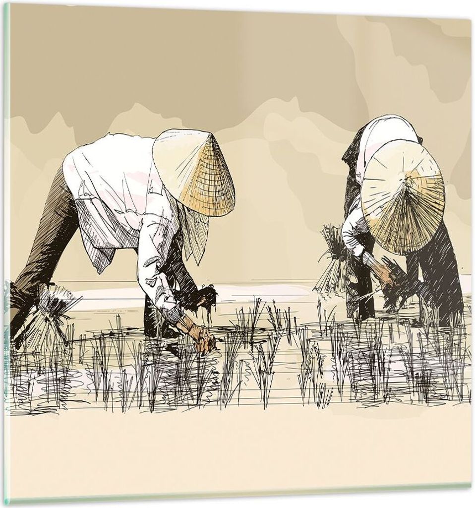 Bilder auf glas - Reis Asien Feld Wasser - 70x70cm - Glasbilder - Wandbilder - Kunstdruck - zum Aufhängen bereit - Wanddekoration aus Glas - Glas ...