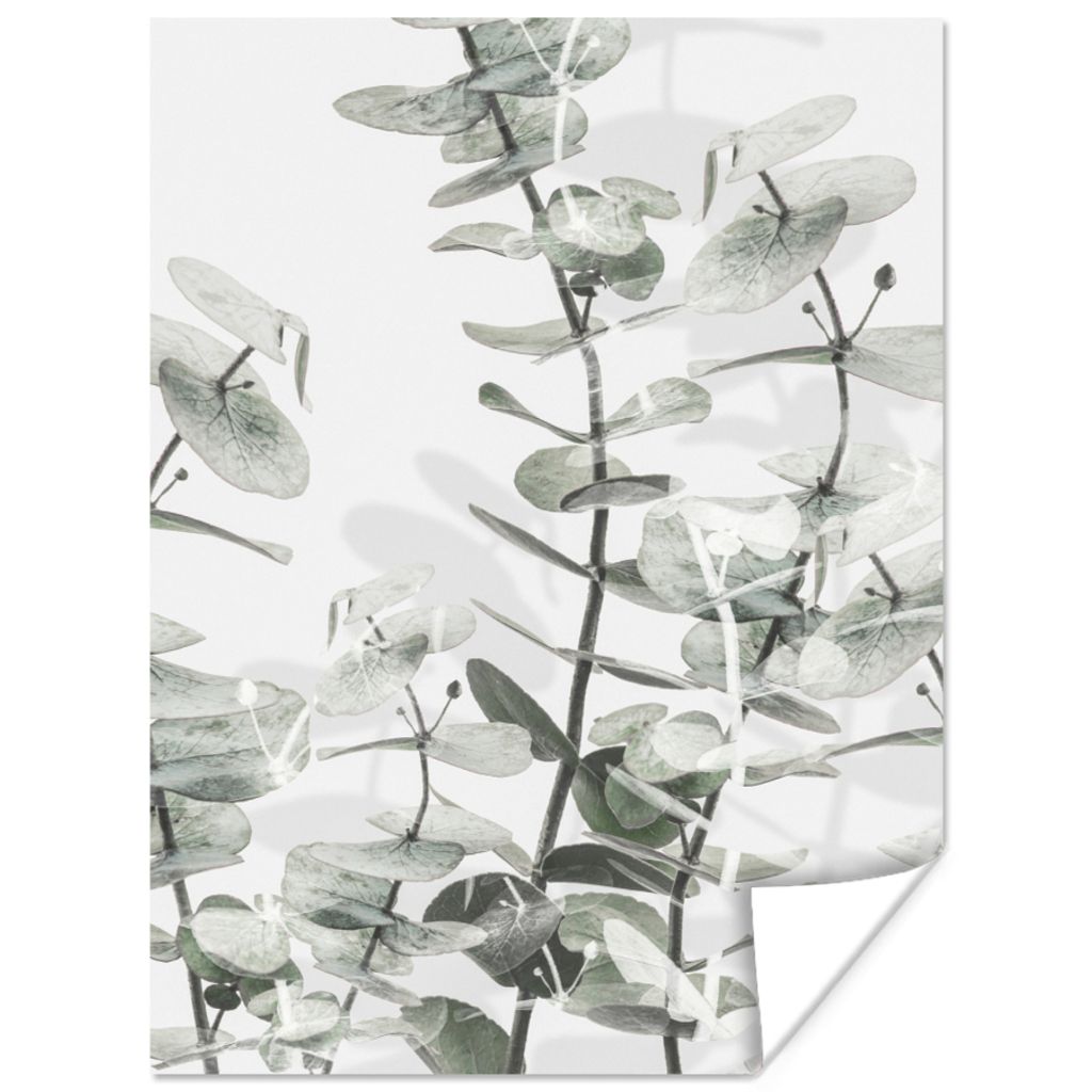 MuchoWow Poster Pflanzen - Natur - Grün - Blumen 30x40 cm - Wandplakat - Poster Kinderzimmer