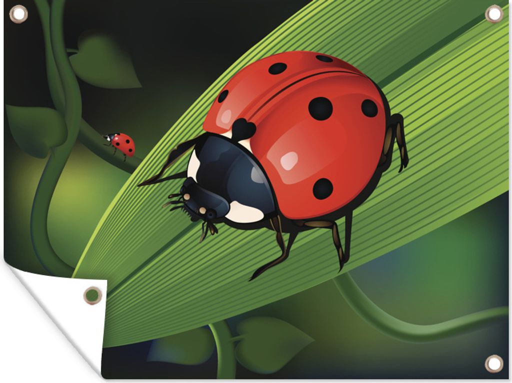 MuchoWow 40x30 cm Outdoor-Poster Gartendeko Sichtschutz Garten Poster für den Garten Eine Nahaufnahme eines Marienkäfers