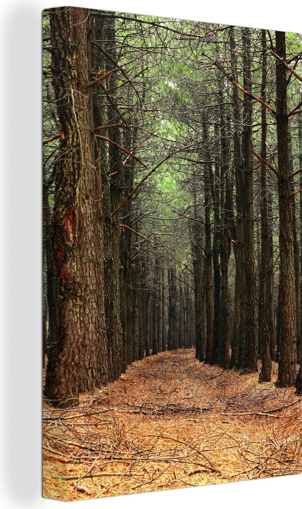 OneMillionCanvasses - Leinwandbilder - 90x140 cm, Herbst - Dekoration - Wald, Wandbilder Kunstdruck Wanddekoration - Foto auf Leinwand - Gemälde...