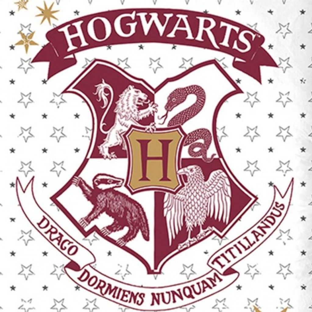 bettwäsche Harry Potter Baumwolle rot 140 x 200 cm Produktbild 3