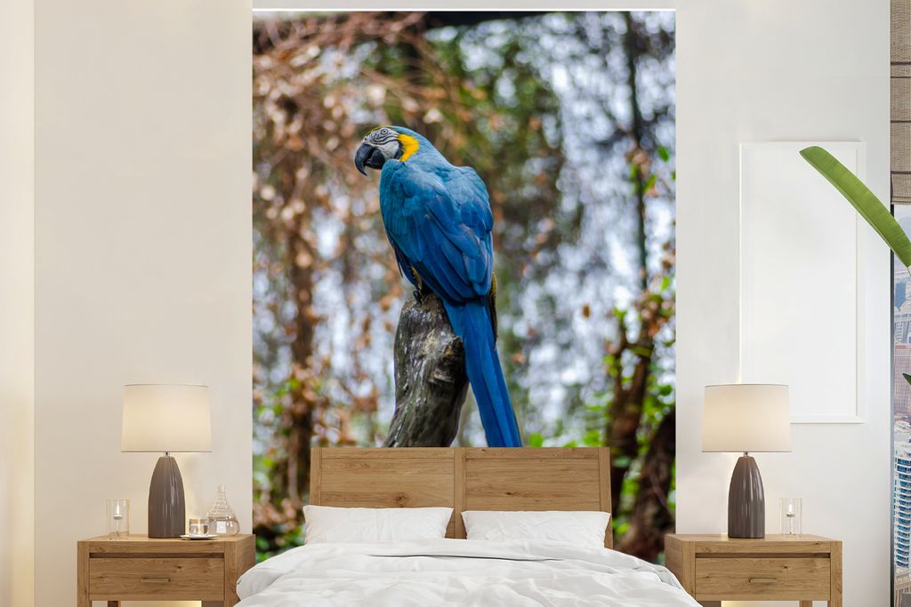 MuchoWow Fototapete für Wohnzimmer oder Schlafzimmer Wandtapete Vinyl Motivtapete Vogel - Papagei - Blau - 225x350 cm - Schlafzimmer tapete