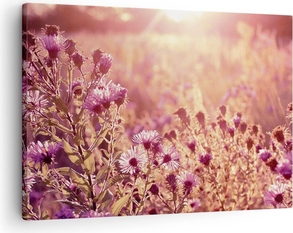 Bild auf Leinwand - Leinwandbild - Einteilig - Wiese Blumen Sonne - 70x50cm - Wand Bild - Wanddeko - Wandbilder - Leinwanddruck - Bilder - Wanddeko...