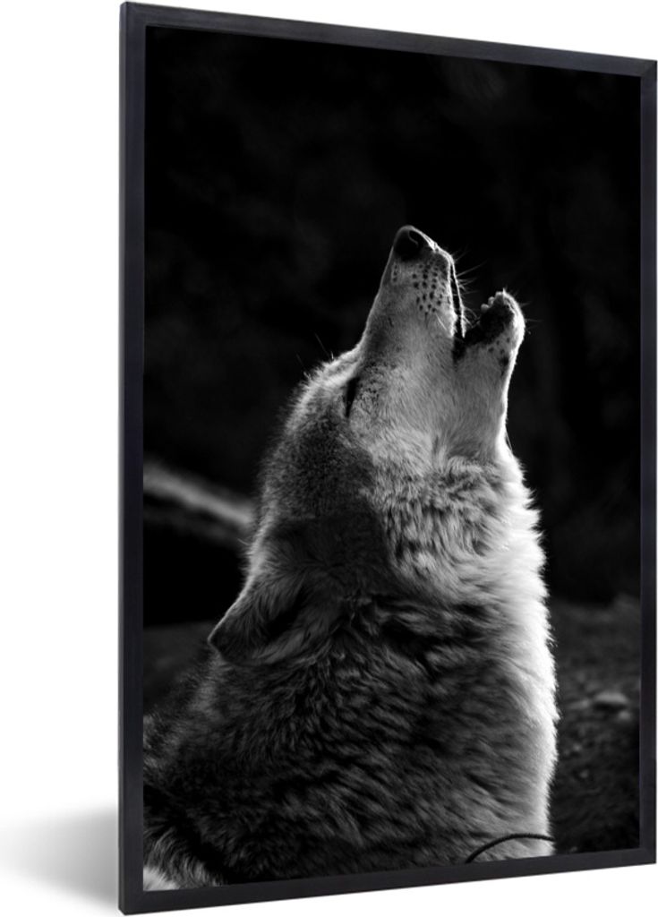 MuchoWow MuchoWow Gerahmtes Poster Heulender grauer Wolf - schwarz und weiß 60x90 cm - Poster mit zchwarzem Bilderrahmen - Kunst