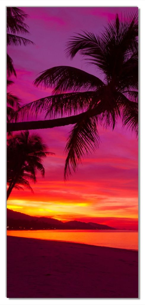 Wallario selbstklebende Türtapete 100 x 220 cm - Abendrot unter Palmen - pinker Himmel am Strand - Abwischbar, rückstandsfrei zu entfernen