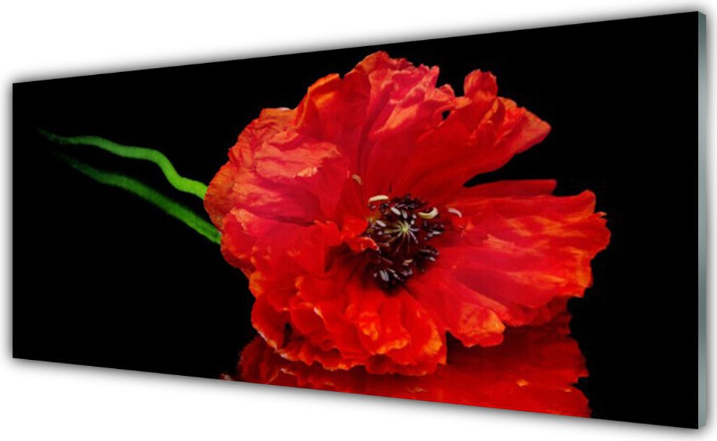 Acrylglasbilder 125x50 Wandbild Druck Blume Pflanzen