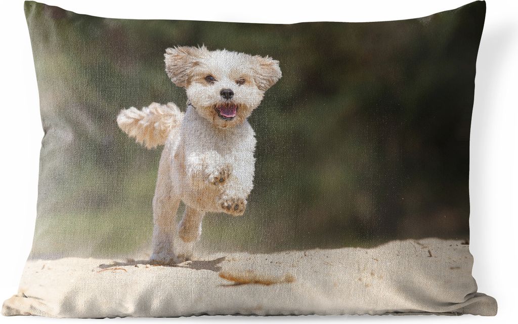 MuchoWow Outdoor Kissen - Ein Shih Tzu Hund hüpft durch den gelben Sand - 50x30 cm - Wetterfest - Lounge Kissen - Sofa kissen - Wohnzimmer Dekor...