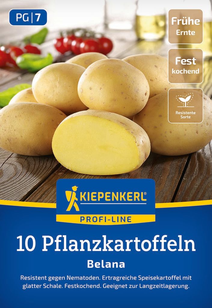 Kiepenkerl Pflanzkartoffel Belana Solanum tuberosum 10 Stück