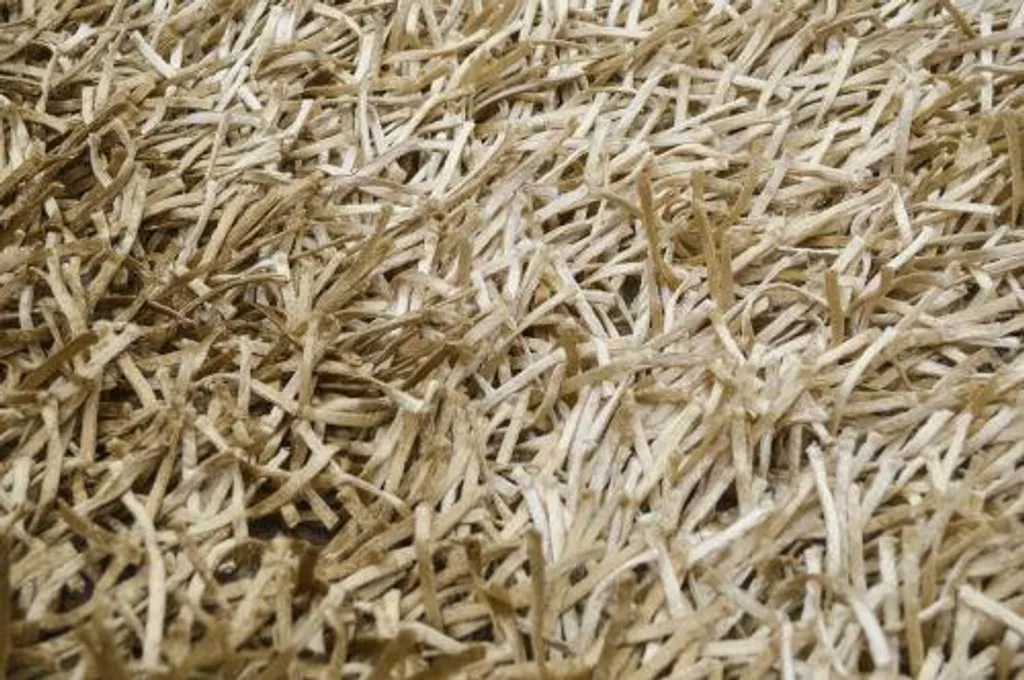 Tapis antidérapant beige 170x240 cm - Réchauffez vos sols froids shaggy