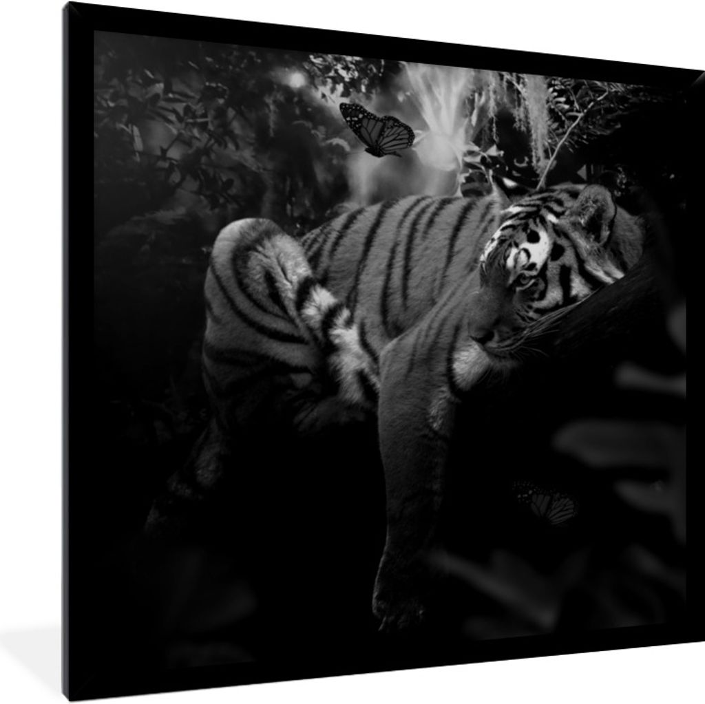 MuchoWow Gerahmtes Poster Schmetterling - Dschungel - Tiger - Schwarz - Weiß 40x40 cm - Poster mit Schwarzem Bilderrahmen Wandposter Rahmen Foto...