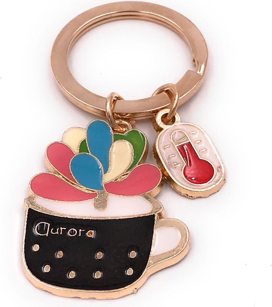 Onwomania Schlüsselanhänger Kaktus Pflanze in Tasse Thermometer Kakteengewächs gold Anhänger Keychain