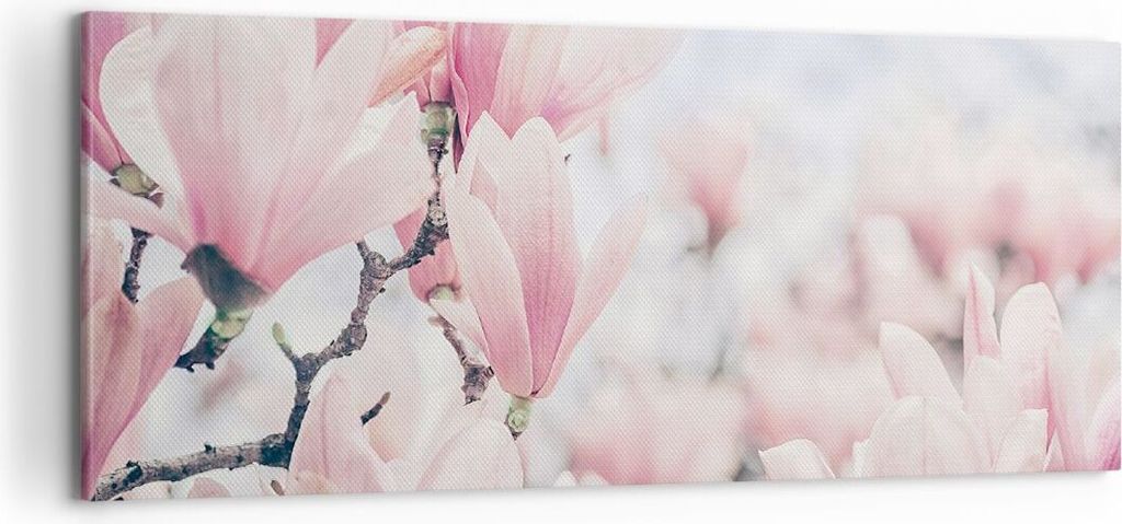 Bild auf Leinwand - Leinwandbild - Einteilig - Magnolie Blumen Rosa - 100x40cm - Wand Bild - Wanddeko - Wandbilder - Leinwanddruck - Bilder - Wandd...