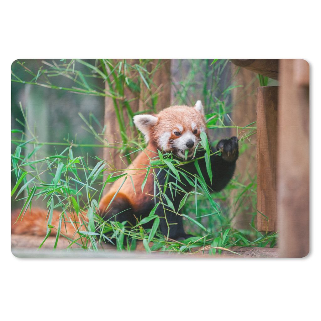 MuchoWow Mauspad Mousepad Roter Panda - Bambus - Grün 27x18 cm - Mousepads - Maus Mat - Pad - Mausunterlage - Büroartikel - Desk Matten