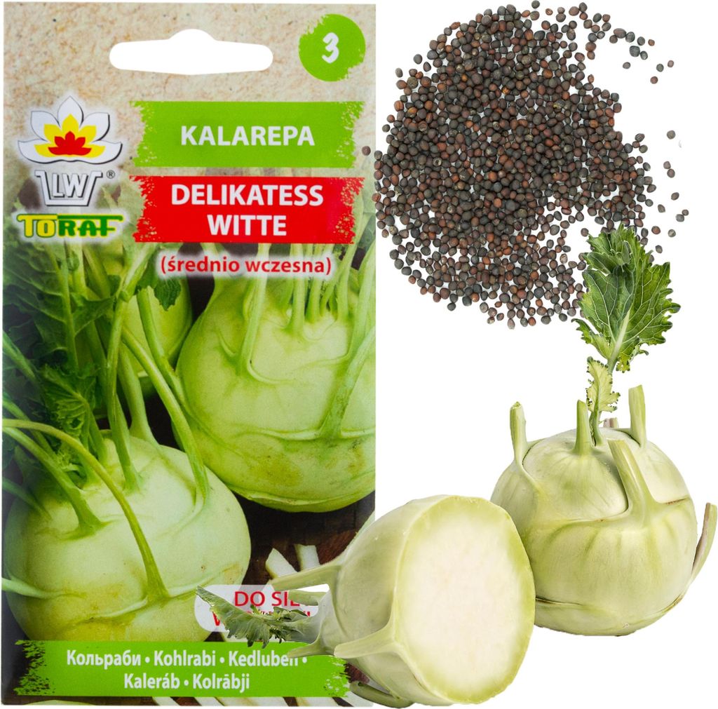 Kalarpapersamen Delicatess Witte White Wy Frühjahr/Sommer 2G Kohlrabi Samen Gemüsesaat