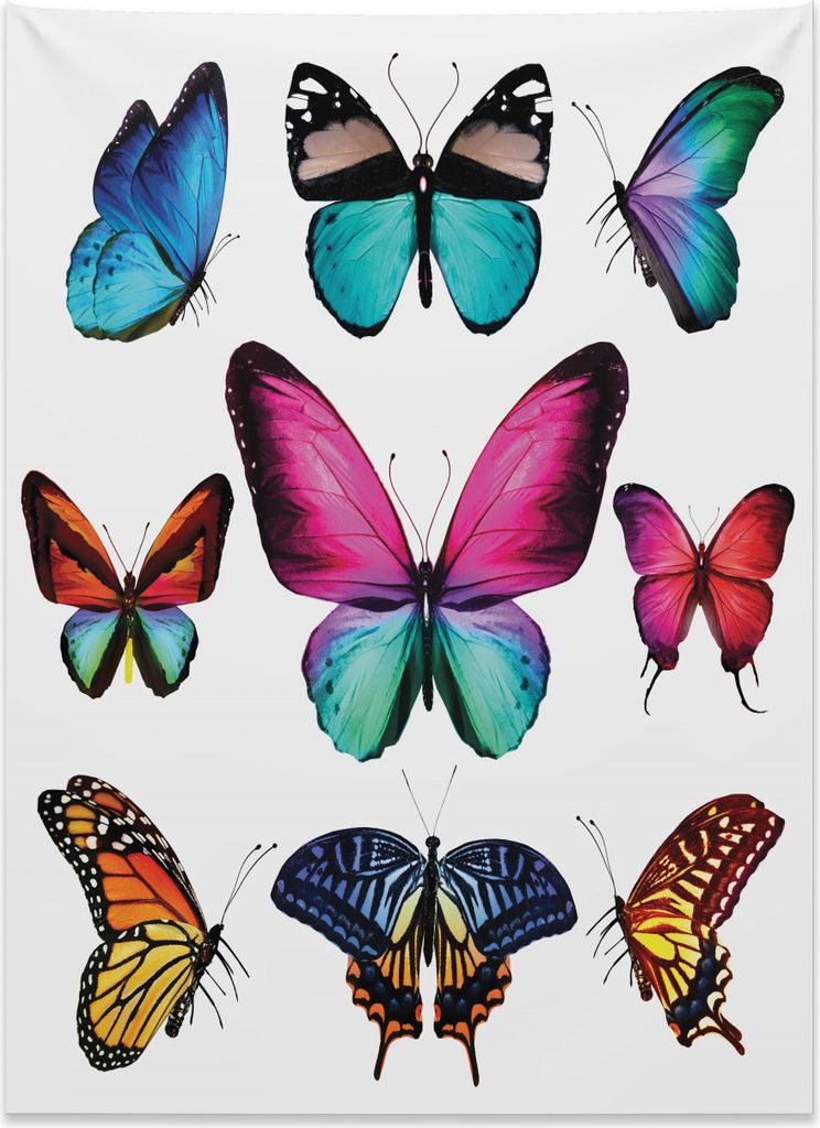 Abakuhaus Natur Wandteppich, Lebendige Schmetterlinge Set aus Weiches Mikrofaser Stoff Kein Verblassen Klare Farben Waschbar, 110 x 150 cm, Mehrfarbig