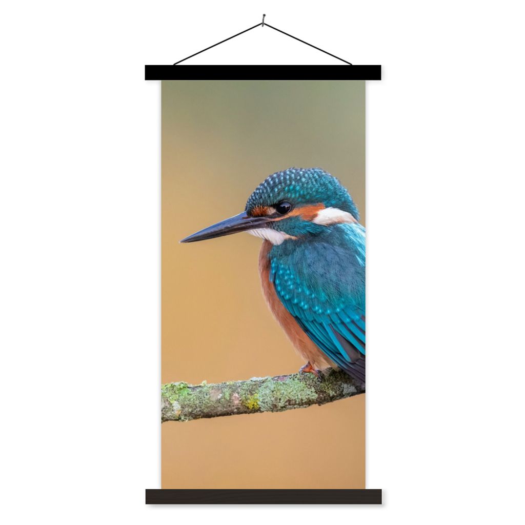 MuchoWow Textilposter Vogel - Eisvogel - Tiere - Zweig 90x180 cm mit schwarzem Rahmen - Dekoration Wohnzimmer