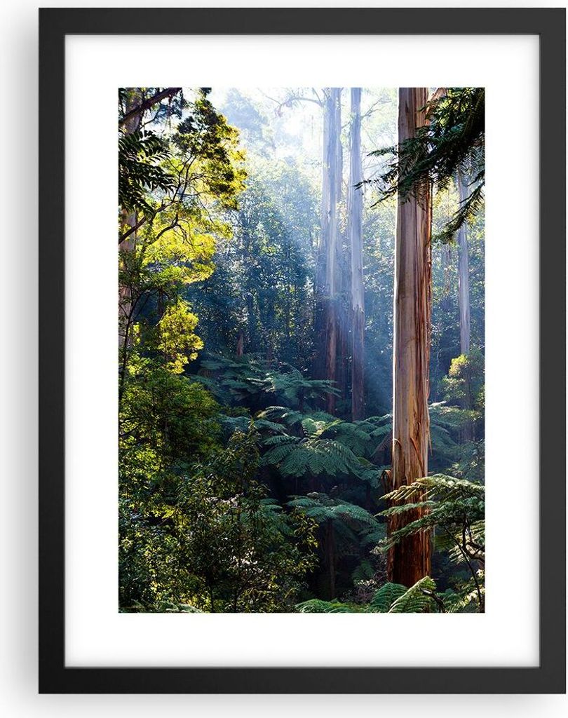 Gerahmtes Poster - Schwarzer Rahmen - Morgendämmerung Bäume Wald - 30x40 cm - Wand Bild - Wanddeko - Wandbilder - Kunstposter - Wandposter - Bild...
