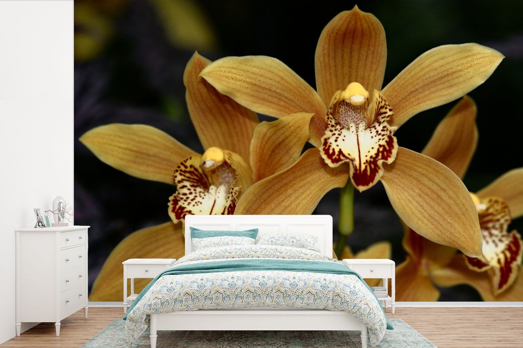 MuchoWow Fototapete für Wohnzimmer oder Schlafzimmer Wandtapete Vinyl Motivtapete Die goldenen Orchideen - 420x280 cm - Zimmer für Kinder