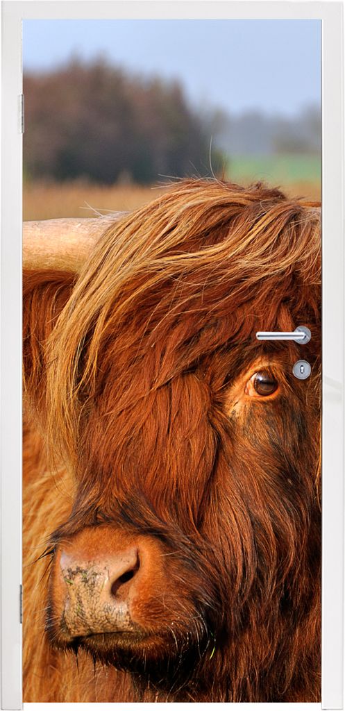 MuchoWow Türtapete Selbstklebende Türfolie Schottischer Highlander - Gras - Baum 85x215 cm Türposter Türaufkleber Klebefolie Türklebefolie -...