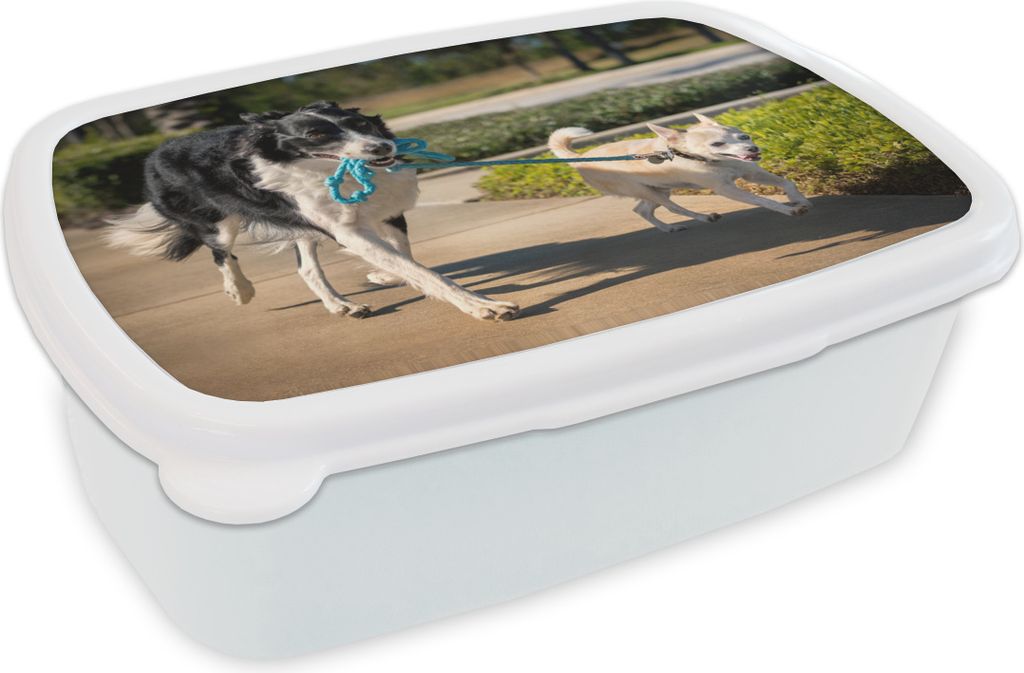 KitchenYeah Lunchbox Brotzeit Brotdose 17x11 cm Hund - Seil - Park Kinder Brotzeitdose - Lunch Box - Kinder - Sandwich-Box - Schulbox - Lunch Boxen