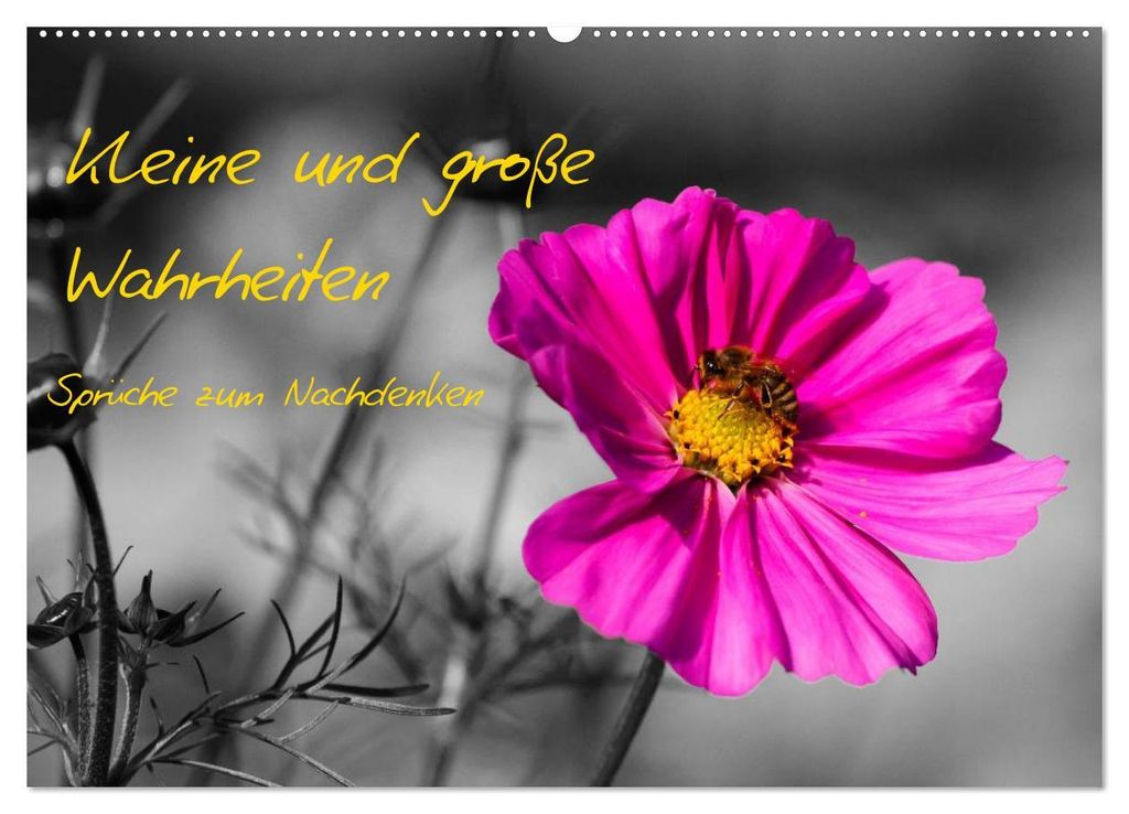 Kleine und große Wahrheiten - Sprüche zum Nachdenken (Wandkalender 2027 DIN A2 quer), CALVENDO Monatskalender