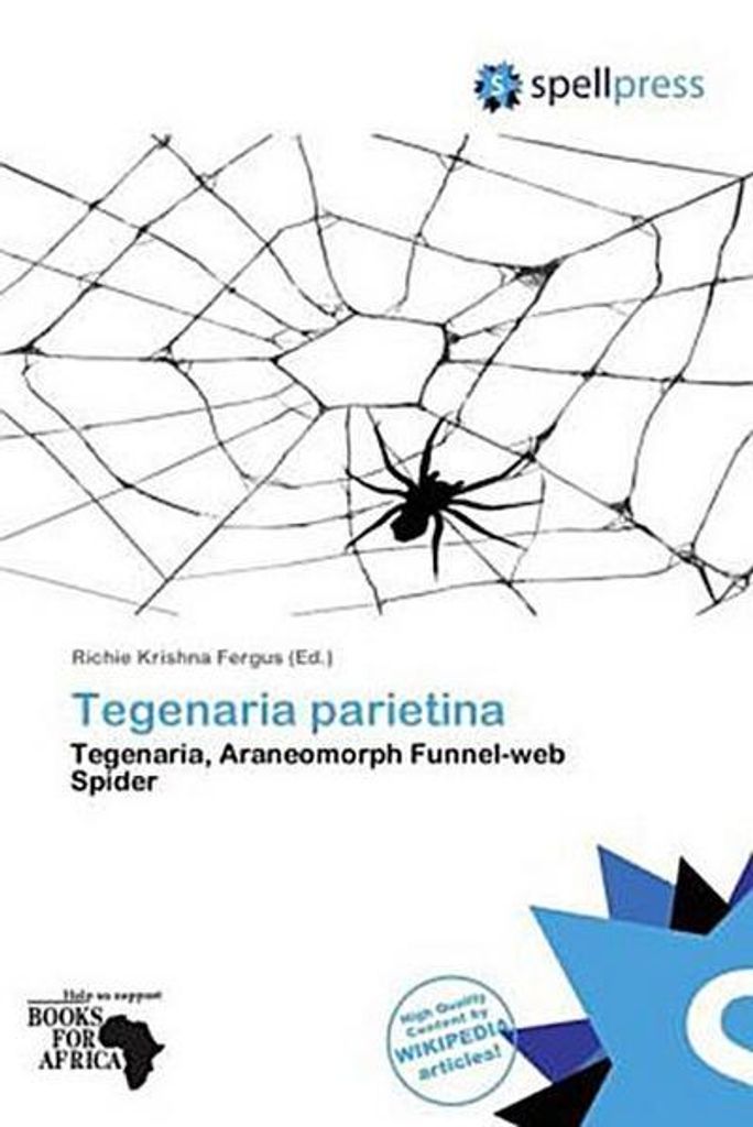 Tegenaria parietina