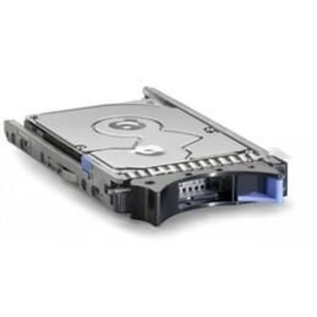 Disque dur IBM 300Go SAS 6Gbps NL 2.5 SFF pour serveurs System x