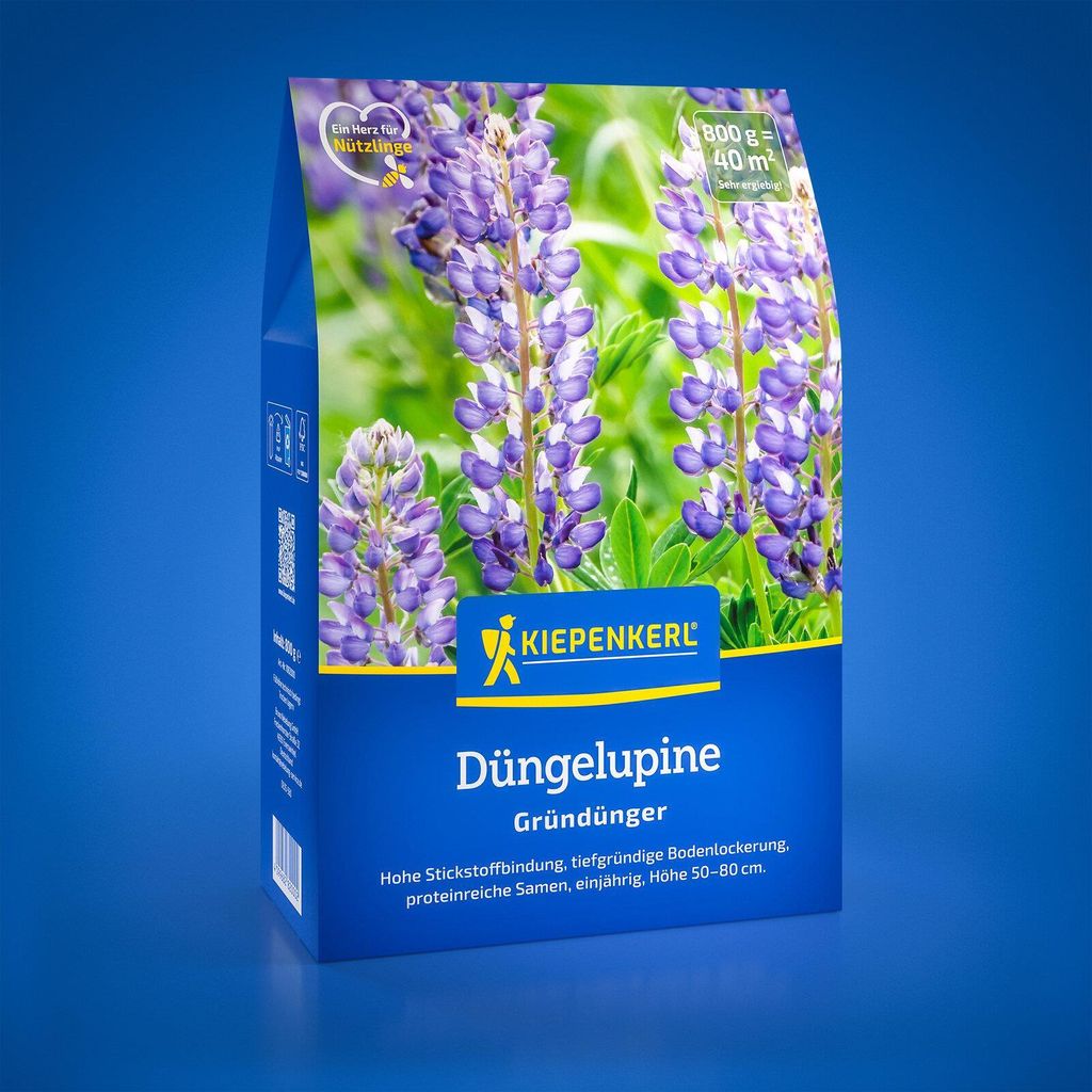 Kiepenkerl Gründüngung Düngelupine Lupinus angustifolius Produktbild 