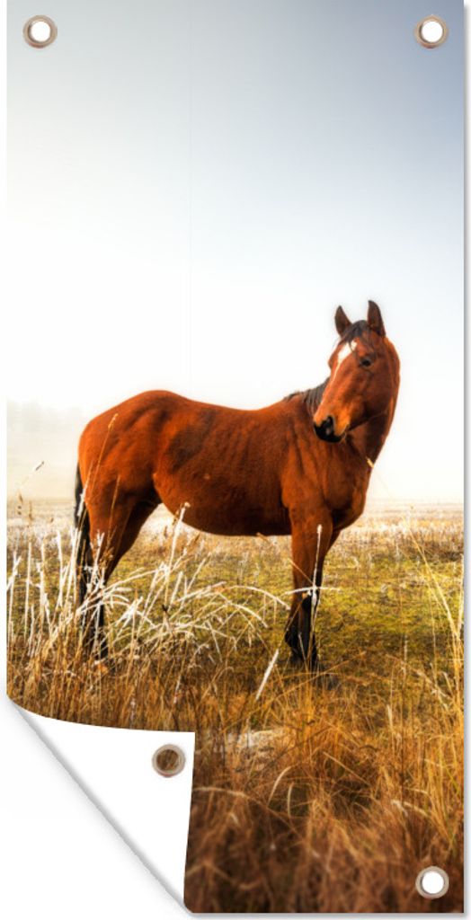 MuchoWow 80x160 cm Outdoor-Poster Gartendeko Sichtschutz Garten Poster für den Garten Pferd - Weide - Australien