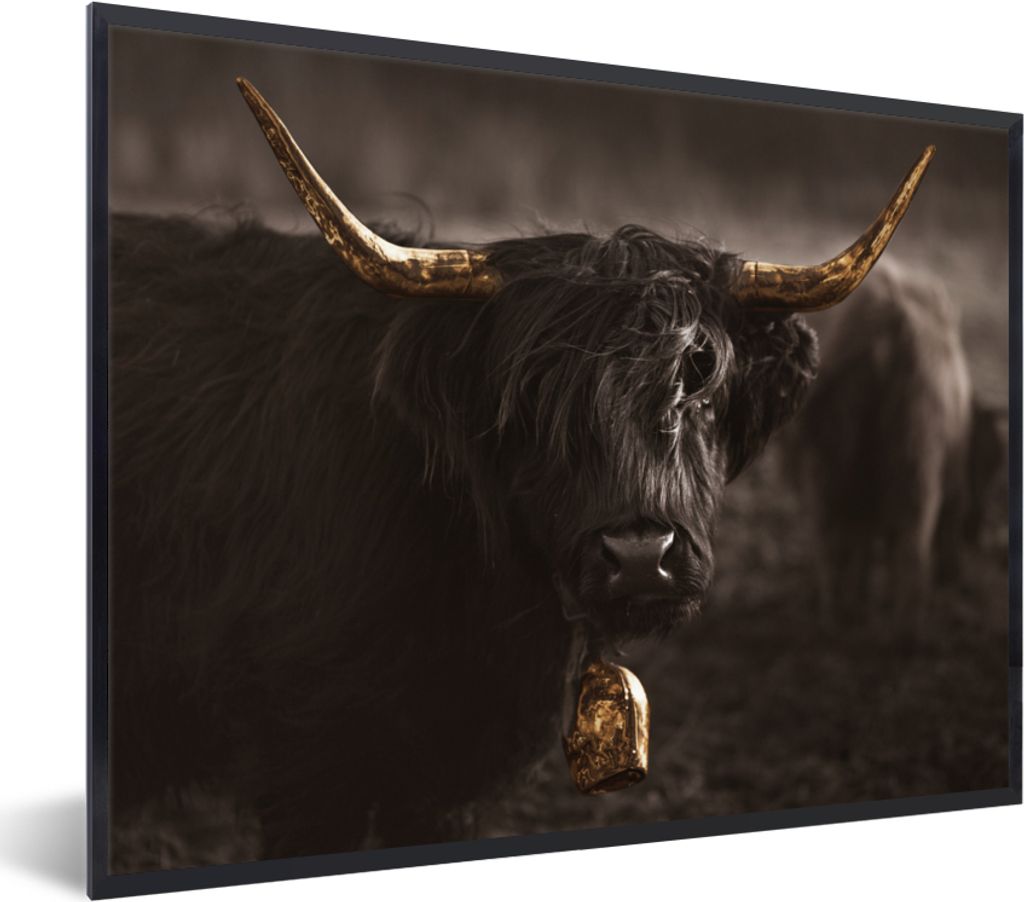 MuchoWow Gerahmtes Poster Schottischer Highlander - Gold - Kuhglocke - Hörner - Tiere 40x30 cm - Poster mit Schwarzem Bilderrahmen Wandposter Ra...
