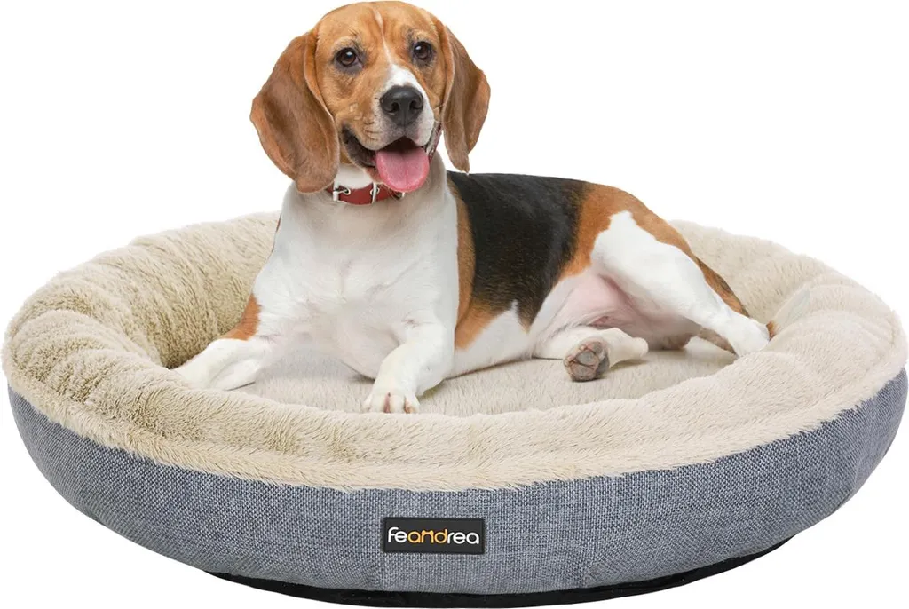 Cuccia Cane Esterno Grigia in Plastica PP - Robusta e Isolata - 1