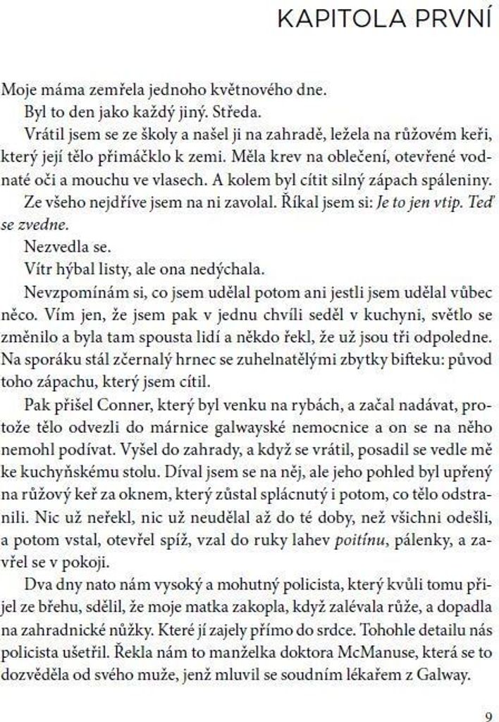 Sedmý kámen | Guido Sgardoli