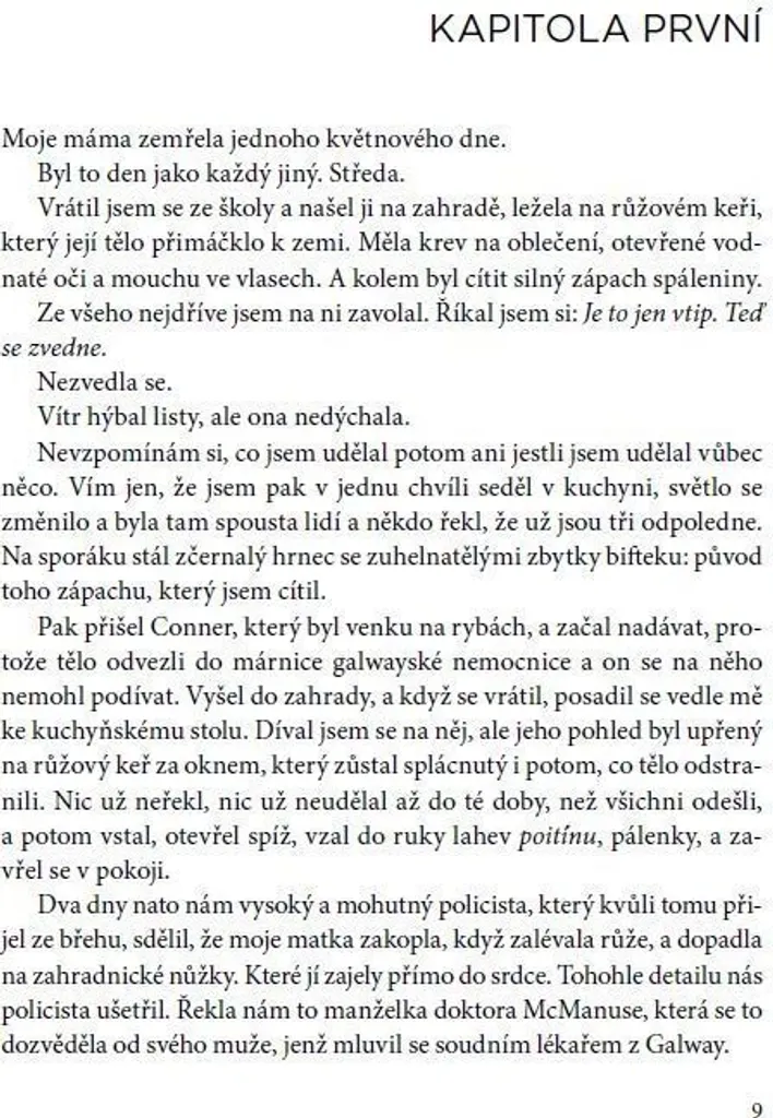 Sedmý kámen - Roman Guido Sgardoli avec Intrigue Captivante et Mystère