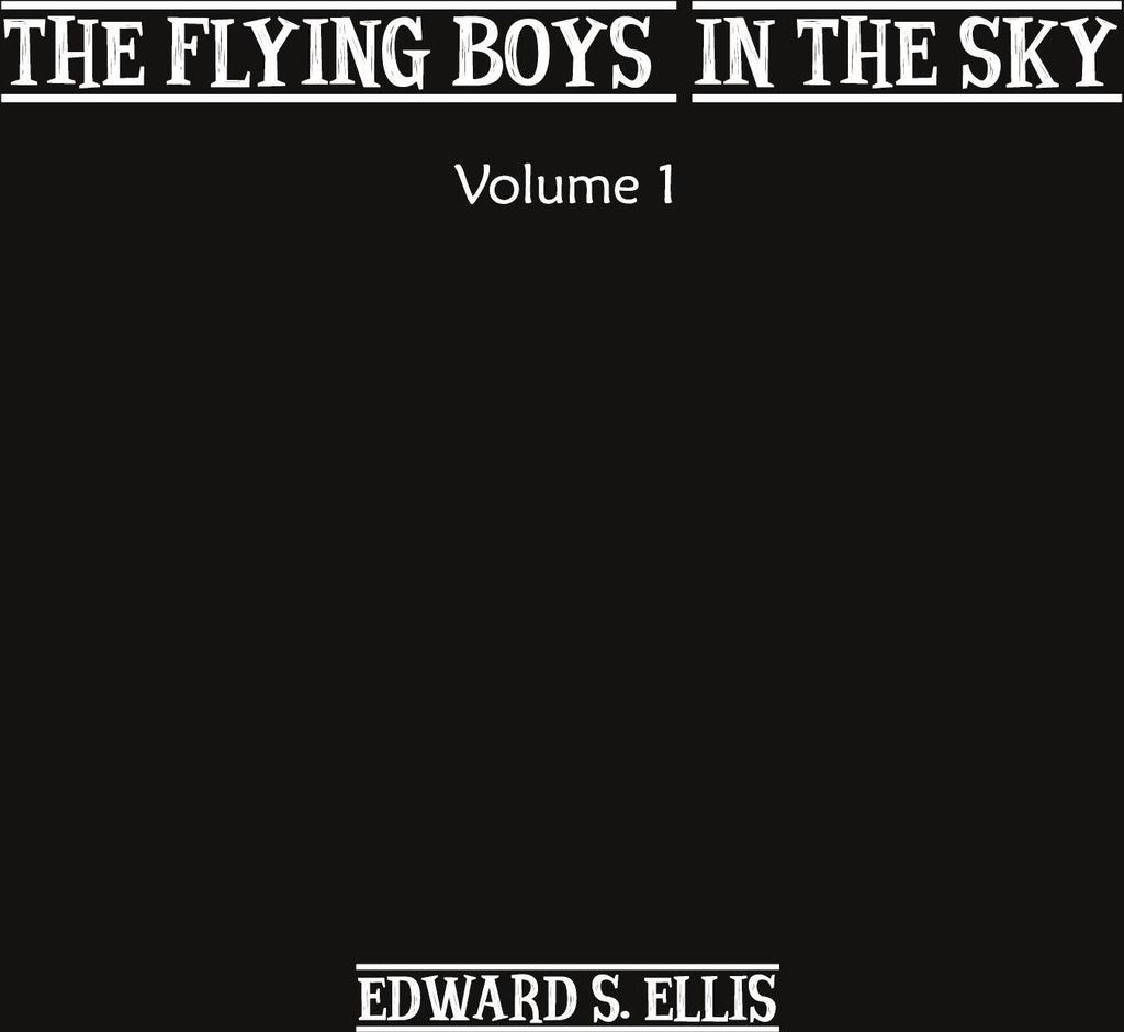 The Fly Boys in the Sky