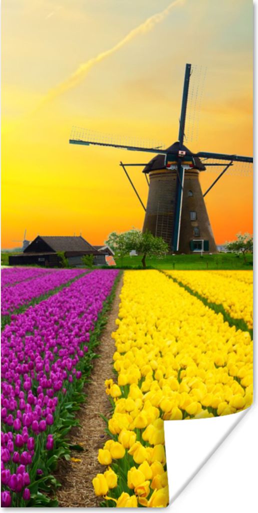 MuchoWow Poster Windmühle - Tulpen - Blumen - Frühling 20x40 cm - Plakat - Foto