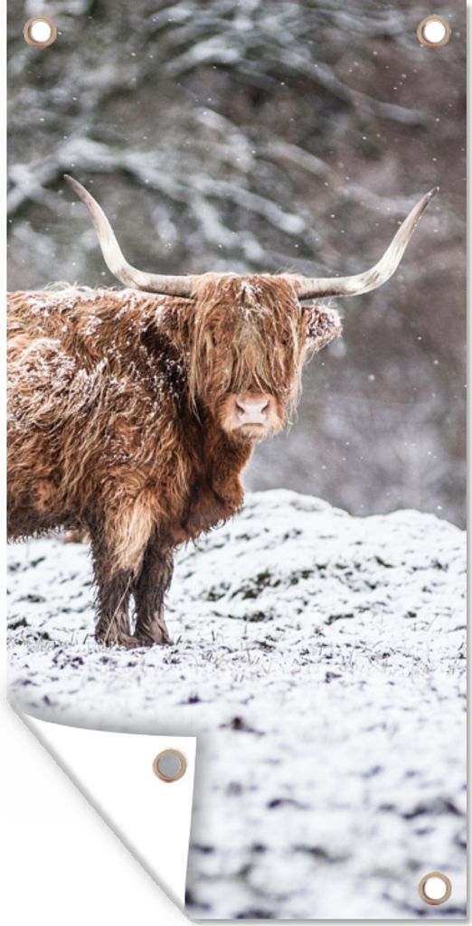 MuchoWow 30x60 cm Outdoor-Poster Gartendeko Sichtschutz Garten Poster für den Garten Schottischer Highlander - Baum - Schnee