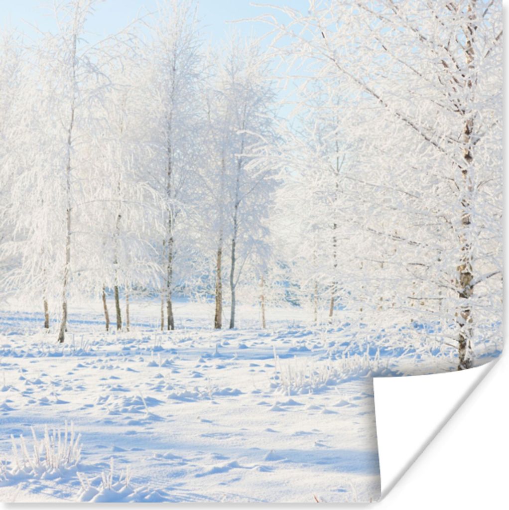 MuchoWow Poster Schnee - Bäume - Winter 100x100 cm - Babyzimmer